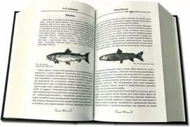 Книга в кожаном переплете "Все о рыбалке. Сабанеев Л.П."