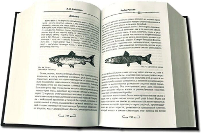 The leather-bound book "All about fishing. Sabaneev L.P."