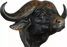 Авторская скульптура из бронзы "Голова буйвола"
