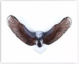 Панно "Орёл", коричневое/белое