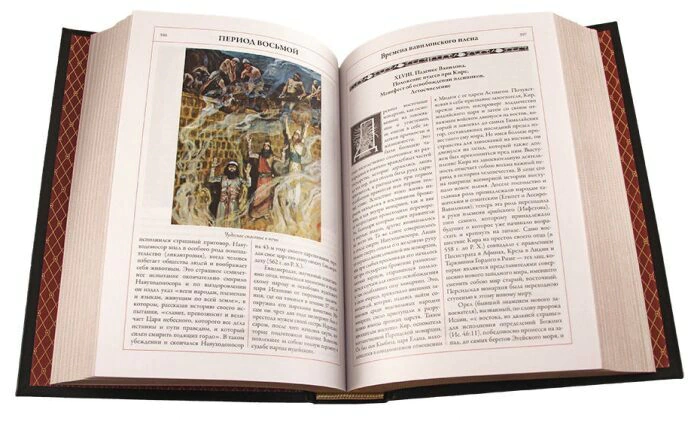 The leather-bound book "The Sensible Bible. A Guide to the Biblical History of the Old and New Testaments"