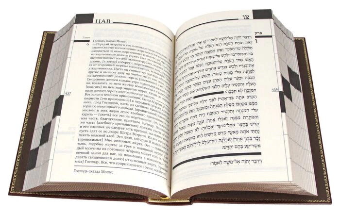 Leather-bound gift book "Torah" (bilingual edition)