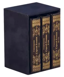 Книги в кожаном переплете "Стихотворения. Сергей Есенин" 3 тома