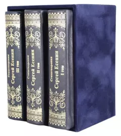Книги в кожаном переплете "Стихотворения. Сергей Есенин" 3 тома