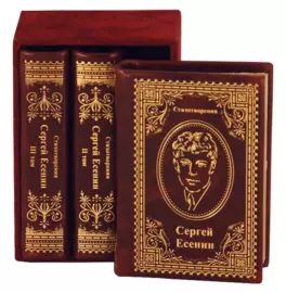 Книги в кожаном переплете "Стихотворения. Сергей Есенин" 3 тома