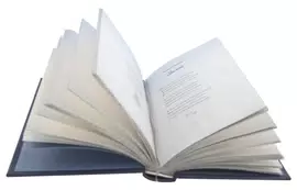 Подарочный набор с книгой и новогодними игрушками "Поэтическое рождество"
