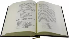 Подарочная книга в кожаном переплете "Русские князья" в футляре