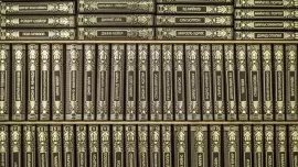 Подарочные книги "Библиотека генерального директора" в 100 томах, Scarlett Brown