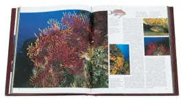 Книга в кожаном переплете "Лучшие места мира для дайвинга"