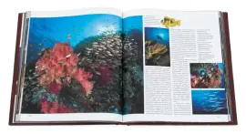 Книга в кожаном переплете "Лучшие места мира для дайвинга"