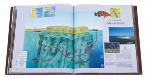 The leather-bound book "Diving"
