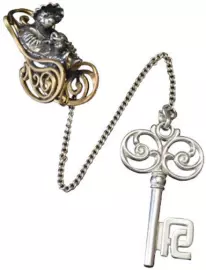 Silver water ionizer "Golden Key"