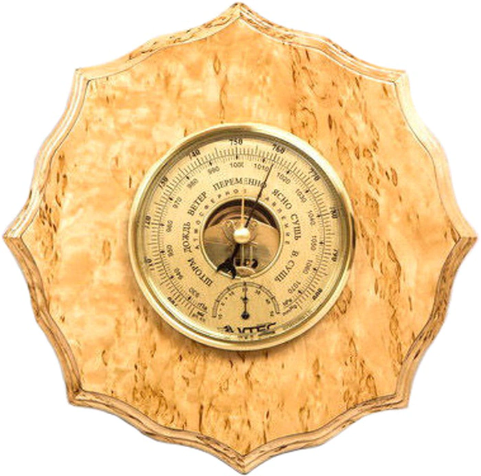 Wind Rose barometer with thermometer, wall mounted
