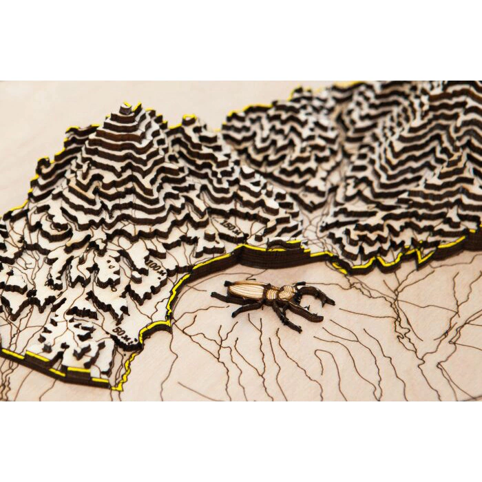 Map of the Leopard Land National Park made of wood, to order