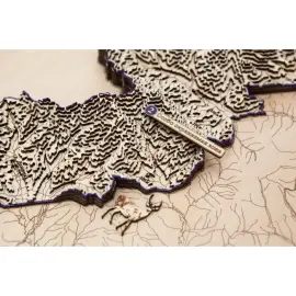 Карта Национального парка Земля Леопарда из дерева, на заказ Карта Национального парка Земля Леопарда из дерева, на заказ