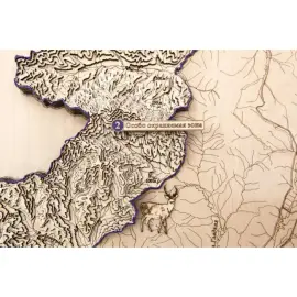 Карта Национального парка Земля Леопарда из дерева, на заказ Карта Национального парка Земля Леопарда из дерева, на заказ