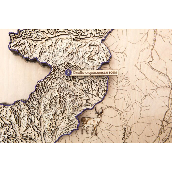 Map of the Leopard Land National Park made of wood, to order