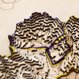 Карта Национального парка Земля Леопарда из дерева, на заказ Карта Национального парка Земля Леопарда из дерева, на заказ