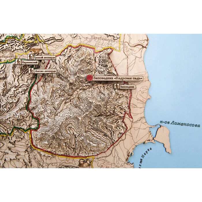 Map of the Leopard Land National Park made of wood, to order