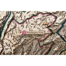 Карта Национального парка Земля Леопарда из дерева, на заказ Карта Национального парка Земля Леопарда из дерева, на заказ