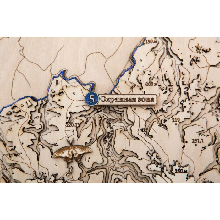 Map of the Leopard Land National Park made of wood, to order