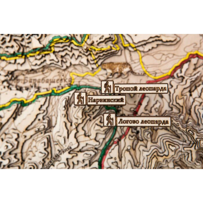 Map of the Leopard Land National Park made of wood, to order