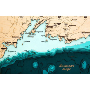 Карта южного побережья Приморского края из дерева, на заказ