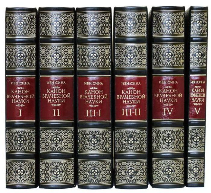 Сборник книг "Абу Али Ибн Сина (Авиценна). Канон врачебной науки" в 6 книгах