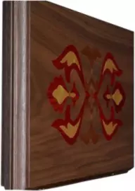 Backgammon from the nut "Salamander elite"