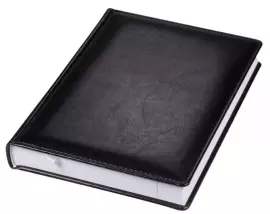 Набор с гравировкой: ежедневник недатированный и шариковая ручка "Sonnet" K527 St. Steel GT