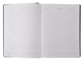 Набор с гравировкой: ежедневник недатированный и ручка-роллер "IM Metal" Brushed Metal GT