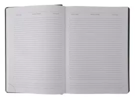 Набор с гравировкой: ежедневник недатированный RED и ручка-роллер "IM Metal" Brushed Metal GT