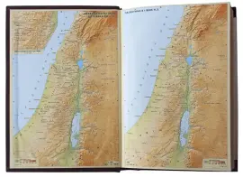 Библия в переплете из натуральной кожи