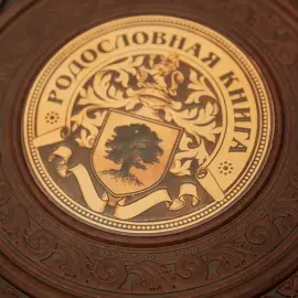 Родословная книга в кожаном переплете