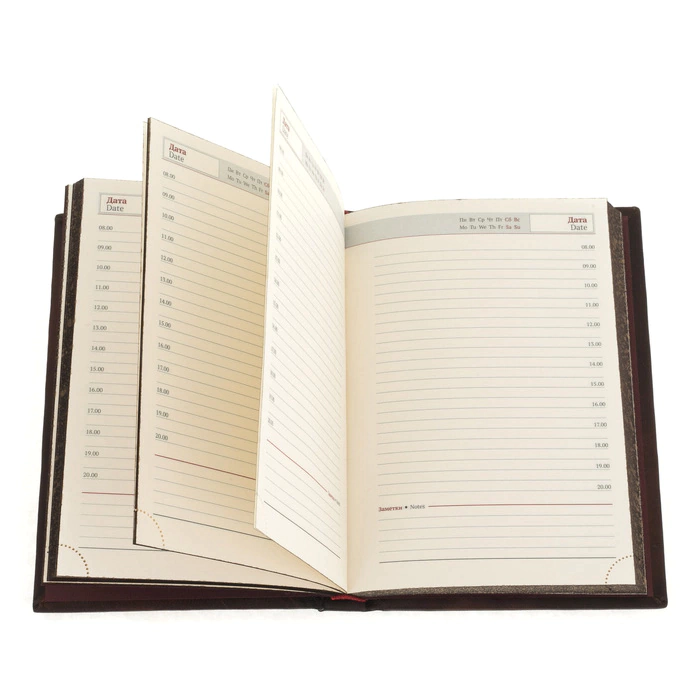 Leather-bound diary "Notepad" (in a box)