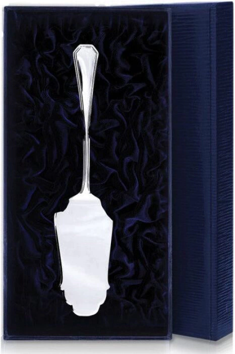 Silver spatula for Elegant cake