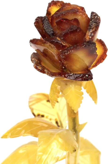 An amber rose in a vase