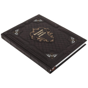 The leather-bound book "The Big Book of Power"