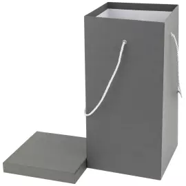 The bronze statuette of Cristiano Ronaldo