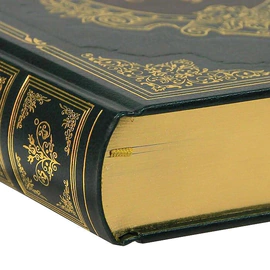 Книга в кожаном переплете "Две королевы. Медичи" А. Дюма