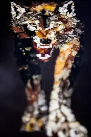 Нарды из мореного дуба и янтаря "Волк" Нарды из мореного дуба и янтаря "Волк"