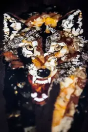 Нарды из мореного дуба и янтаря "Волк" Нарды из мореного дуба и янтаря "Волк"