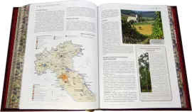 Книга "Ларусс. Вино. Энциклопедия"