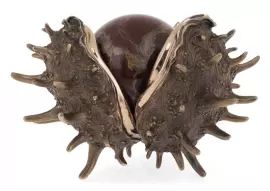 Авторская скульптура из бронзы "Золотой каштан"