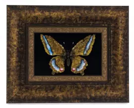 Amber panel "Butterfly"