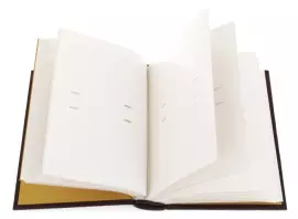 Подарочный альбом "ФСБ"