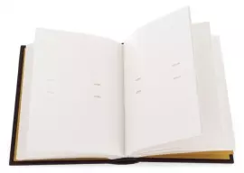 Подарочный альбом "МВД"