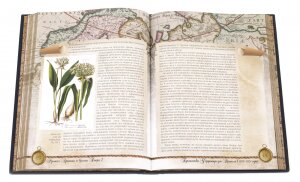 Подарочная книга в кожаном переплёте "Русская арктика. Со времен Петра 1"