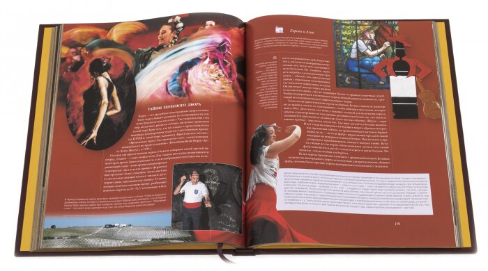 Leather-bound gift book "Spirits: Wine"