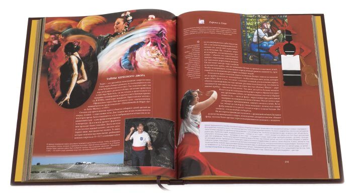 Подарочная книга в кожаном переплёте "Крепкие напитки: Вино"